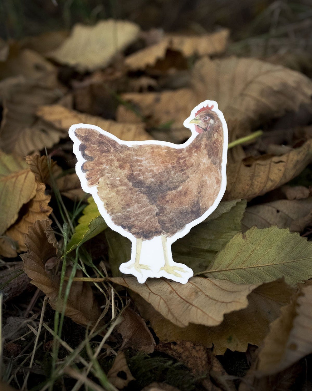 Yardia Sticker Chicken Sticker