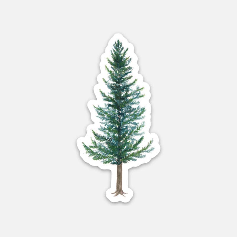 Yardia Sticker Douglas Fir Evergreen Tree Sticker