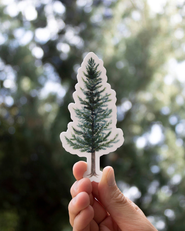 Yardia Sticker Douglas Fir Evergreen Tree Sticker